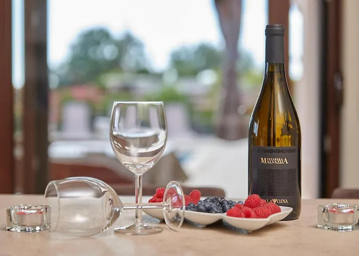 Bartona For 8 Persons With Private Swimmingpool Villa